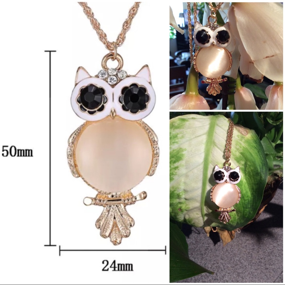 💗 Pretty Owl Necklace NEW 💗